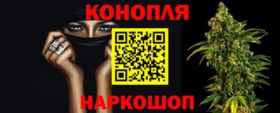 сатива Краснознаменск