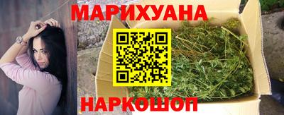 сатива Краснознаменск